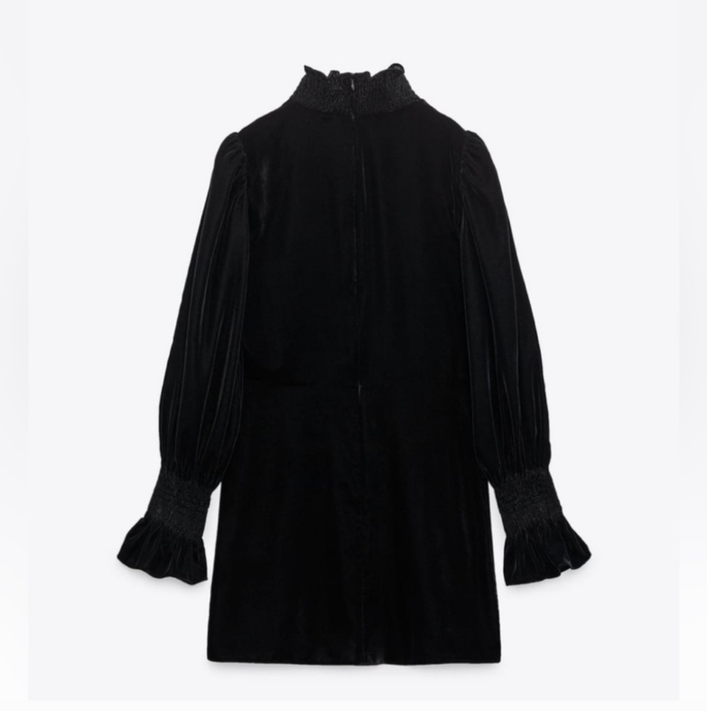 Zara Long Sleeve Velvet Mini Dress - Picture 8 of 11